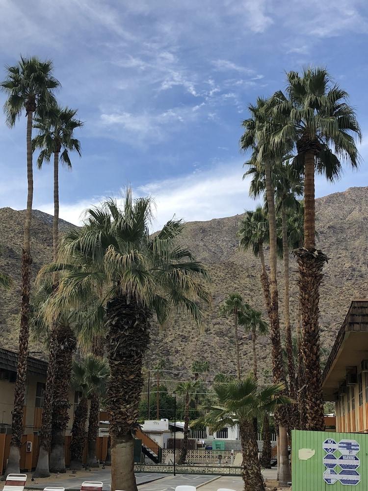 Desert Lodge Palm Springs Luaran gambar